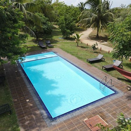 Yala Peace Cottages Tissamaharama Exteriér fotografie