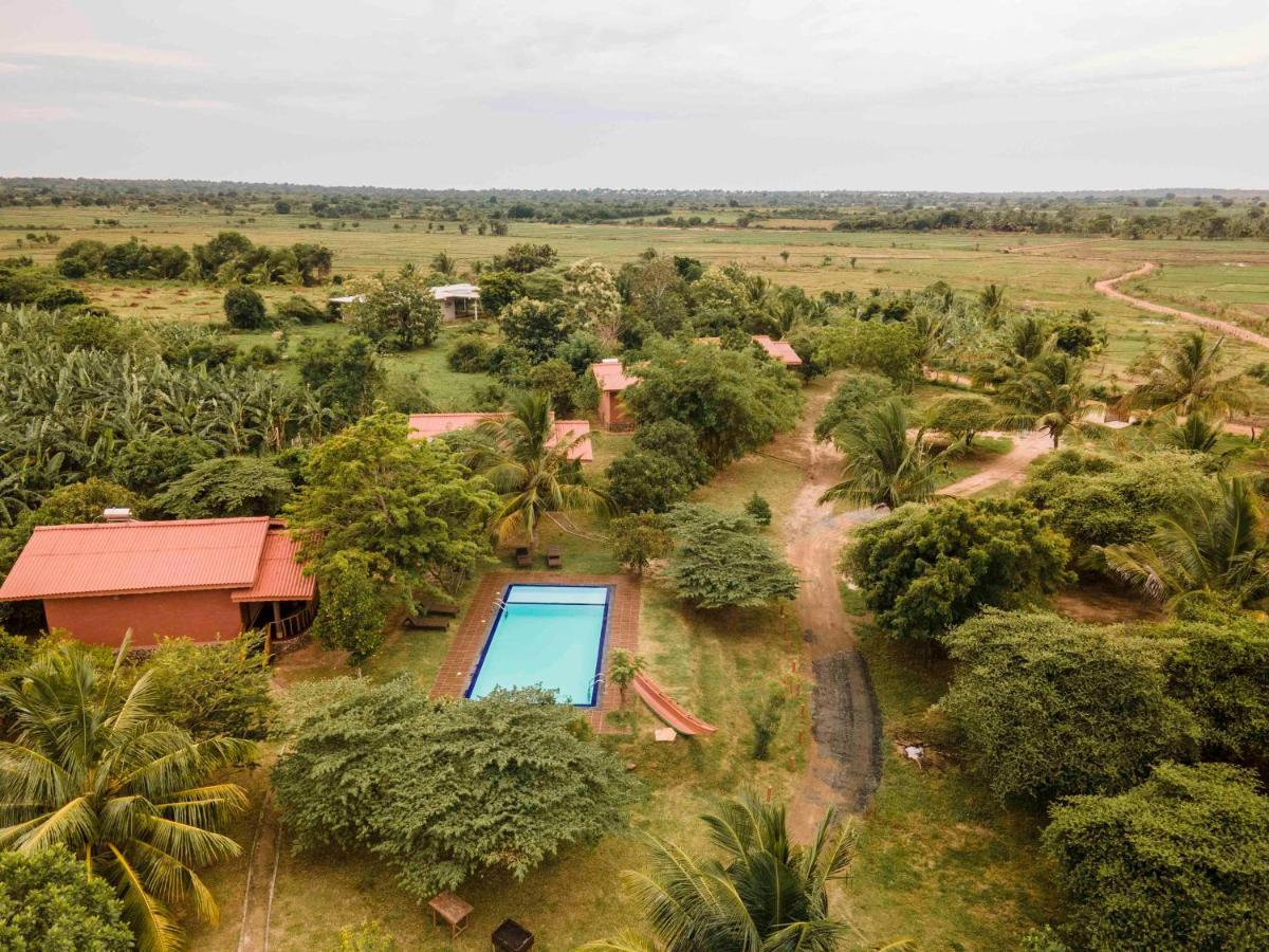 Yala Peace Cottages Tissamaharama Exteriér fotografie
