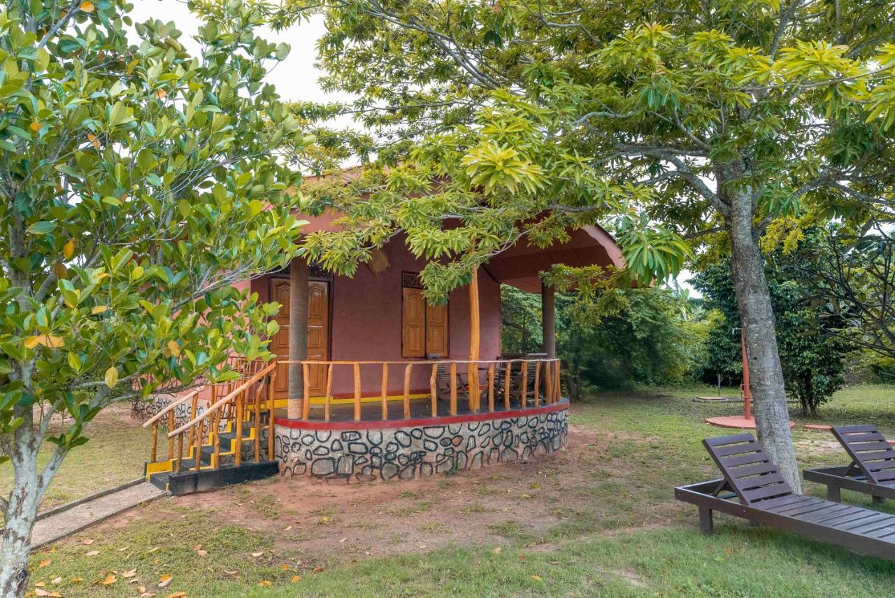 Yala Peace Cottages Tissamaharama Exteriér fotografie