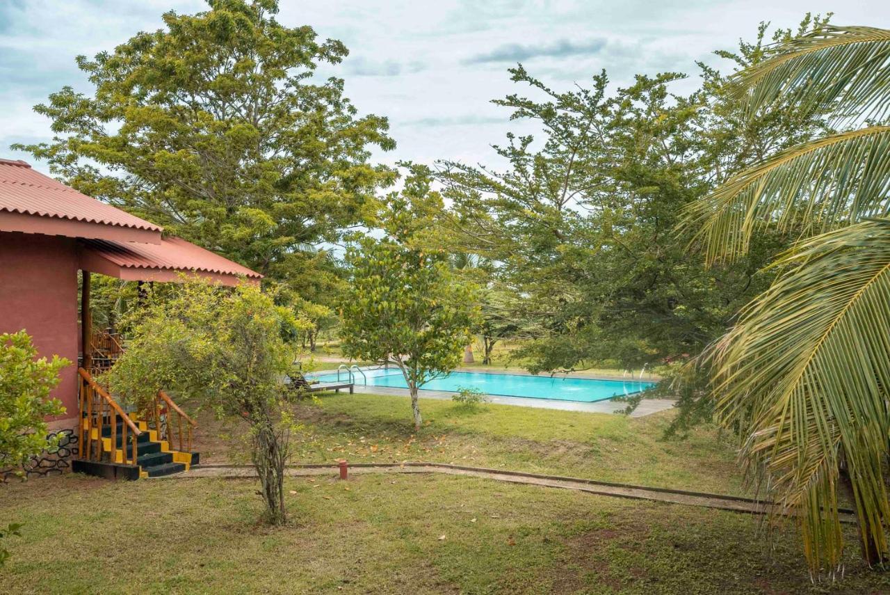 Yala Peace Cottages Tissamaharama Exteriér fotografie