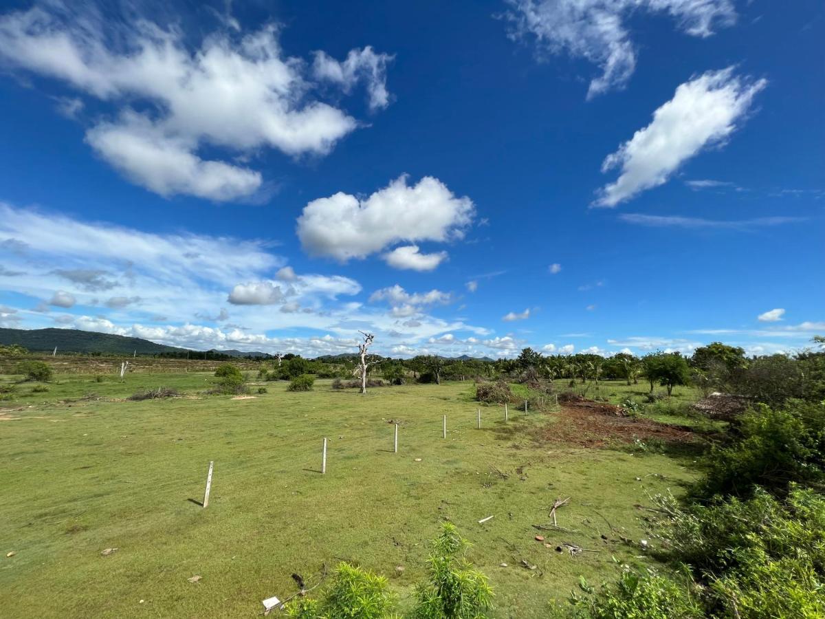 Yala Peace Cottages Tissamaharama Exteriér fotografie