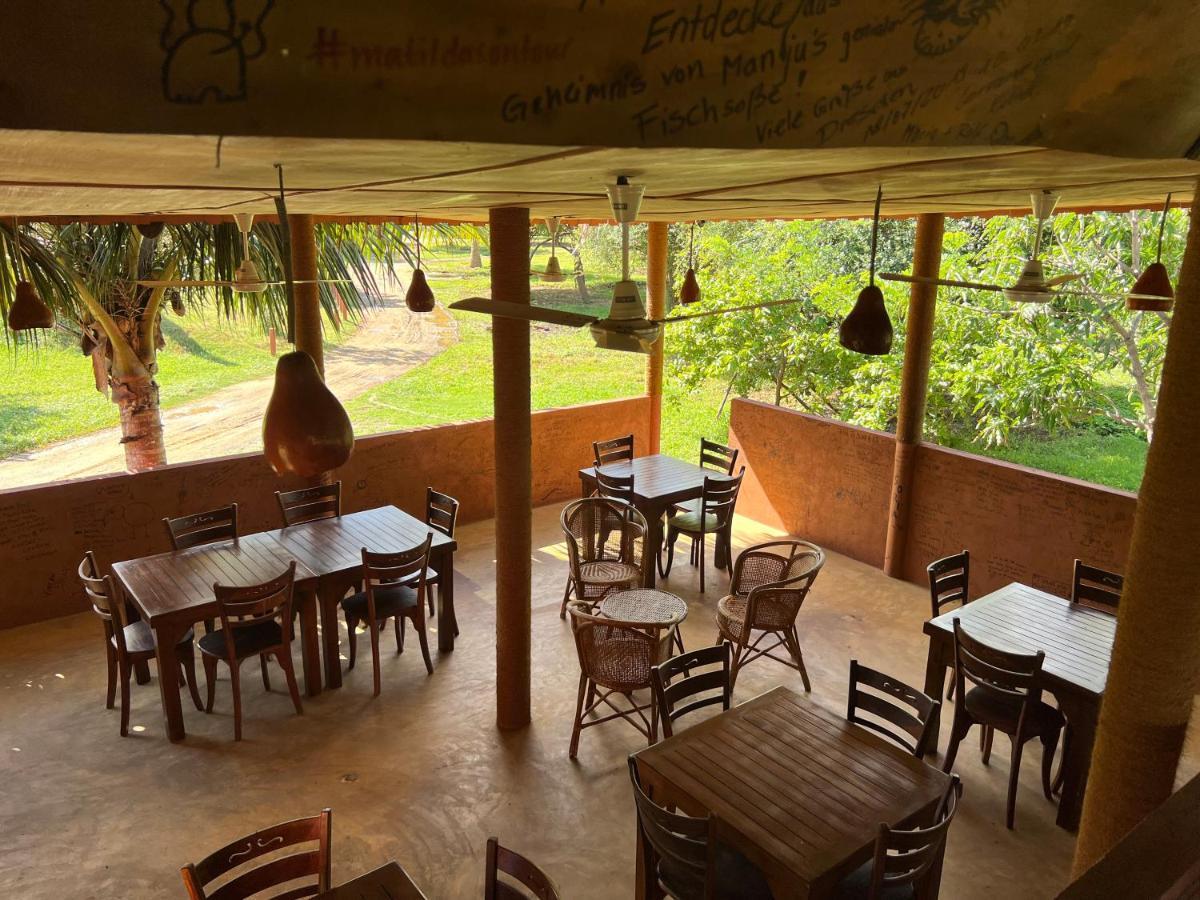 Yala Peace Cottages Tissamaharama Exteriér fotografie