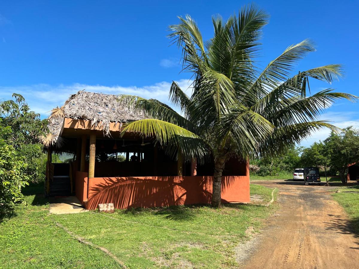 Yala Peace Cottages Tissamaharama Exteriér fotografie