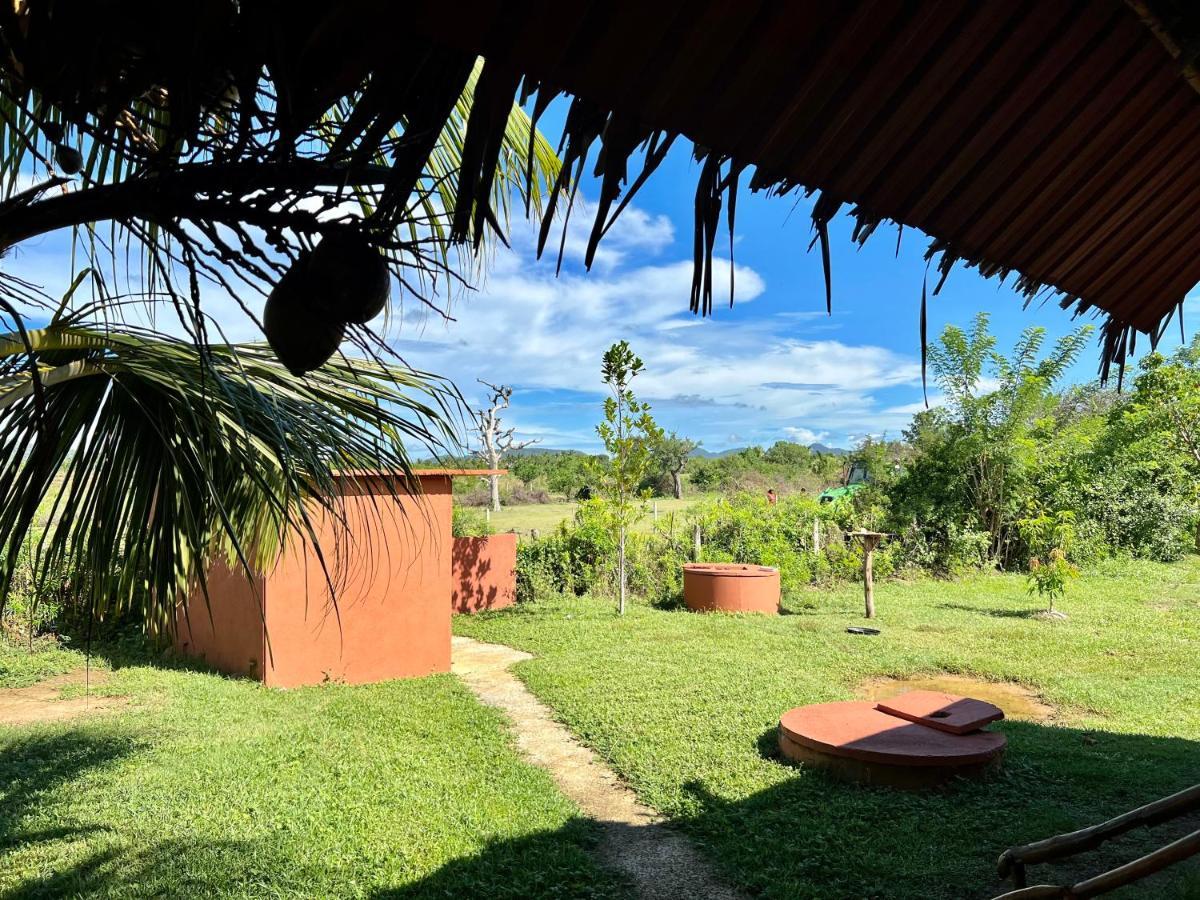 Yala Peace Cottages Tissamaharama Exteriér fotografie