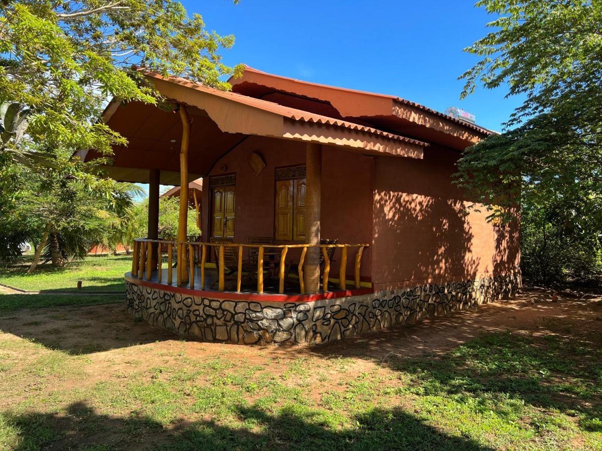 Yala Peace Cottages Tissamaharama Exteriér fotografie