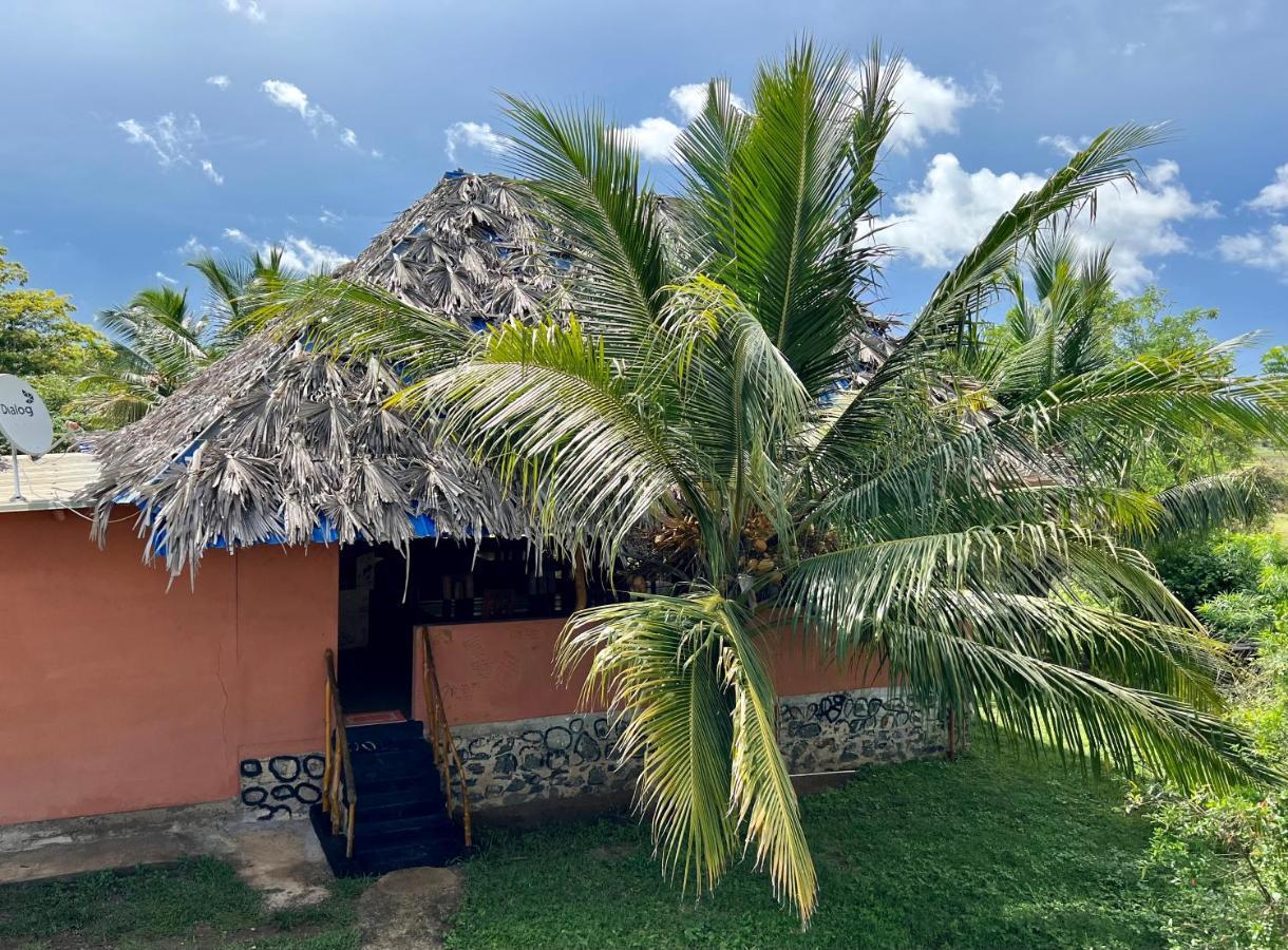 Yala Peace Cottages Tissamaharama Exteriér fotografie