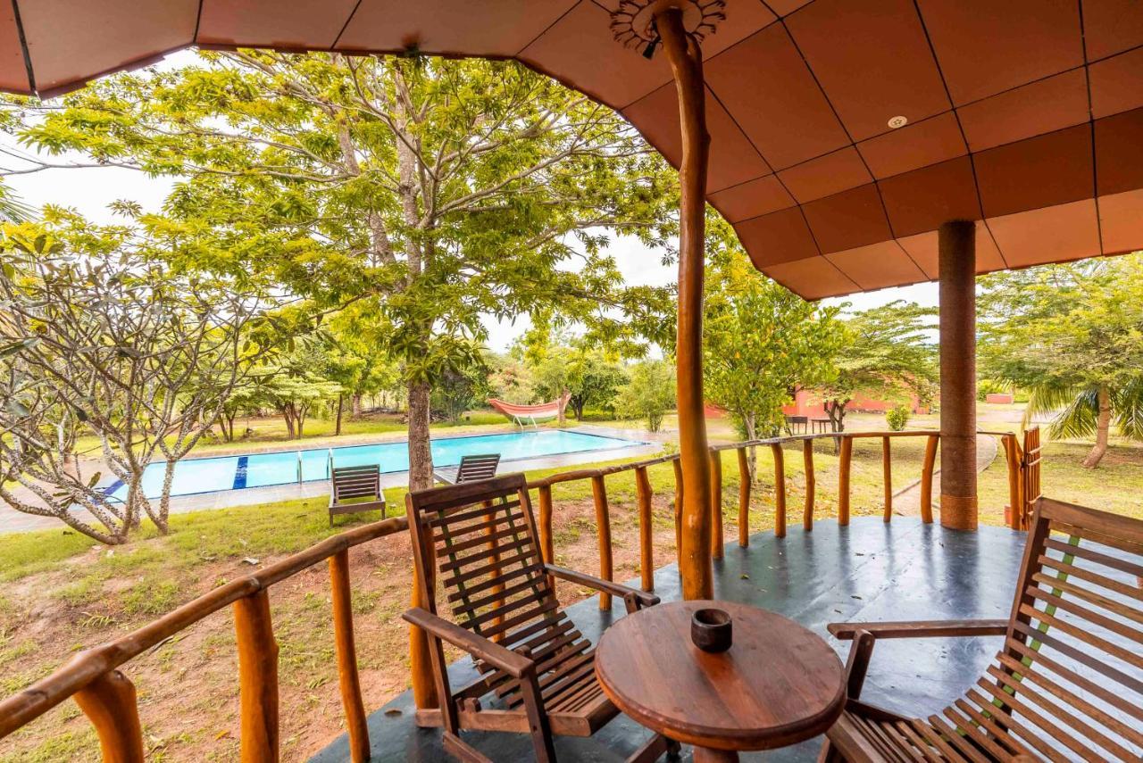 Yala Peace Cottages Tissamaharama Exteriér fotografie