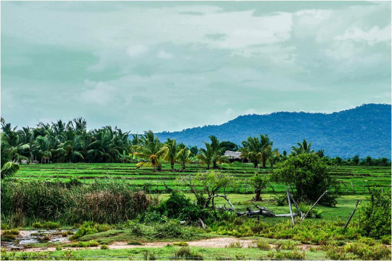 Yala Peace Cottages Tissamaharama Exteriér fotografie