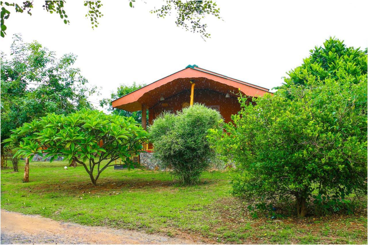 Yala Peace Cottages Tissamaharama Exteriér fotografie
